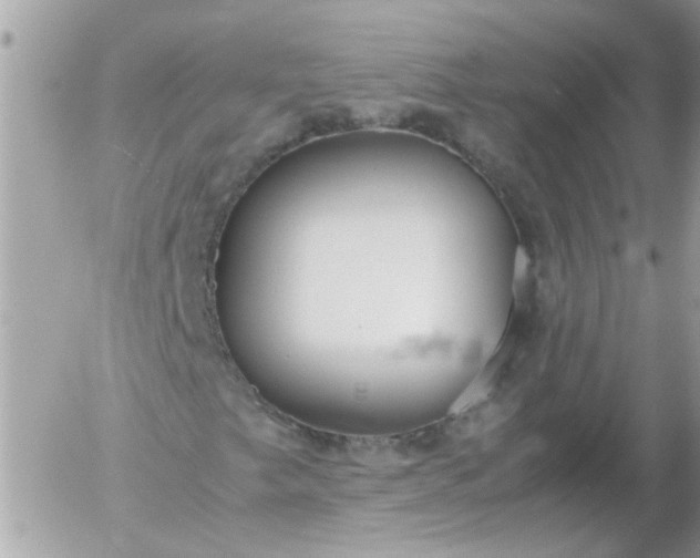 X0000055511249200508262131