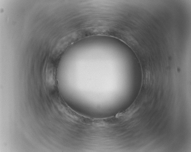 X0000055511250200508262131