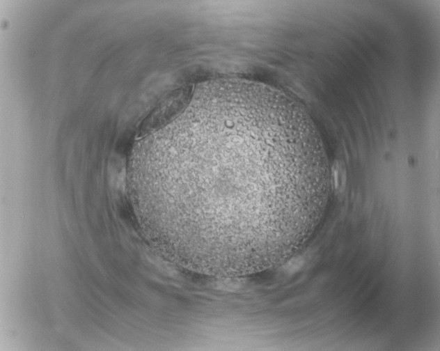 X0000055511251200508262131