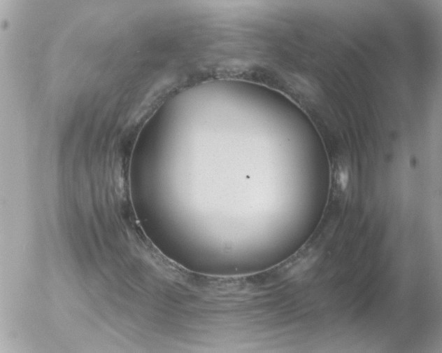 X0000055511252200508262131