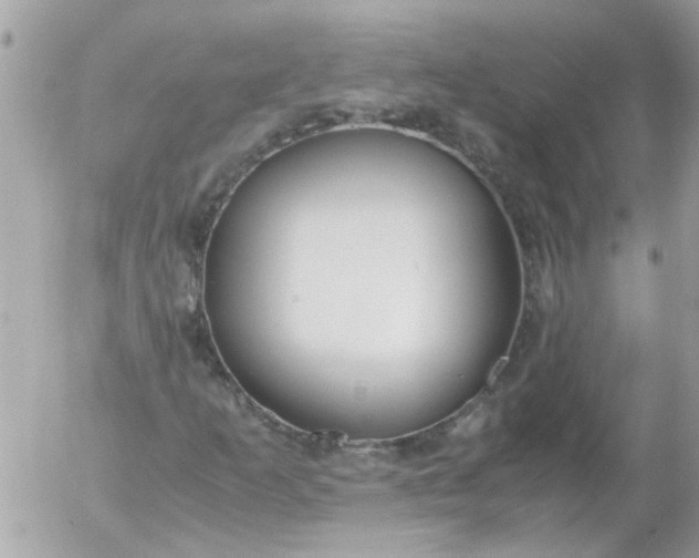 X0000055511253200508262131