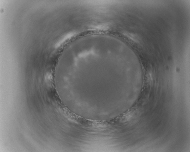 X0000055511254200508262131