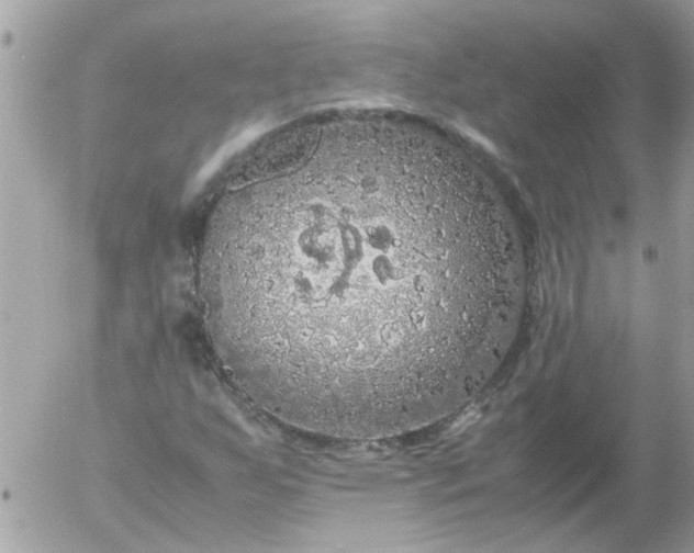 X0000055511255200508262131