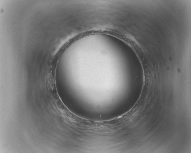 X0000055511256200508262131