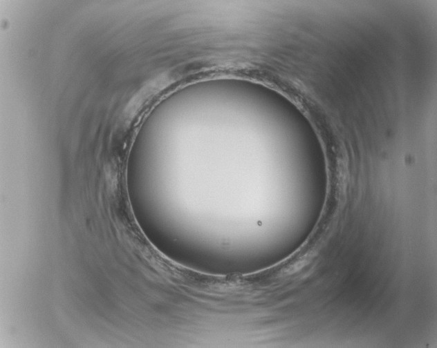 X0000055511257200508262131