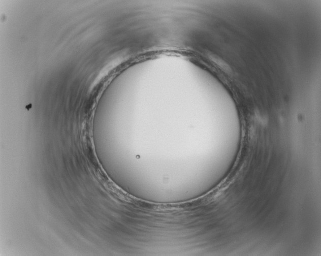 X0000055511258200508262131