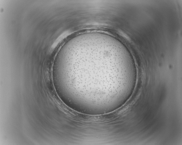 X0000055511259200508262131