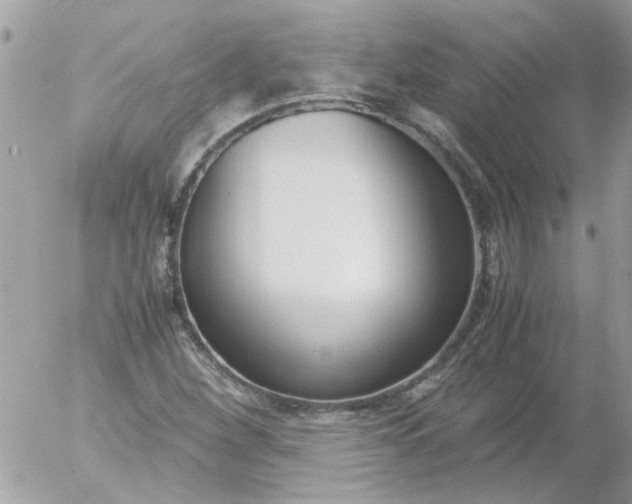 X0000055511260200508262131