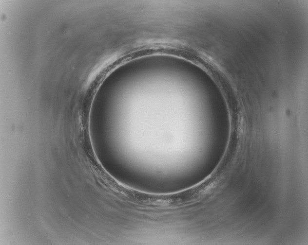 X0000055511261200508262131