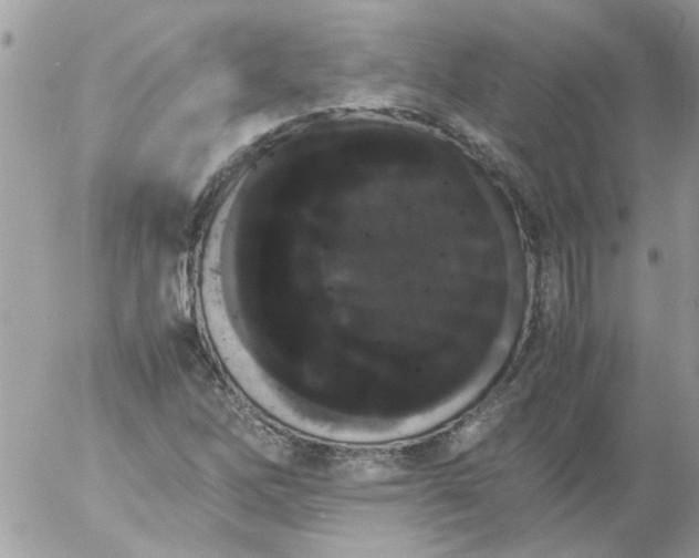 X0000055511262200508262131