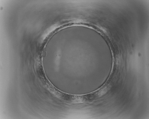 X0000055511263200508262131