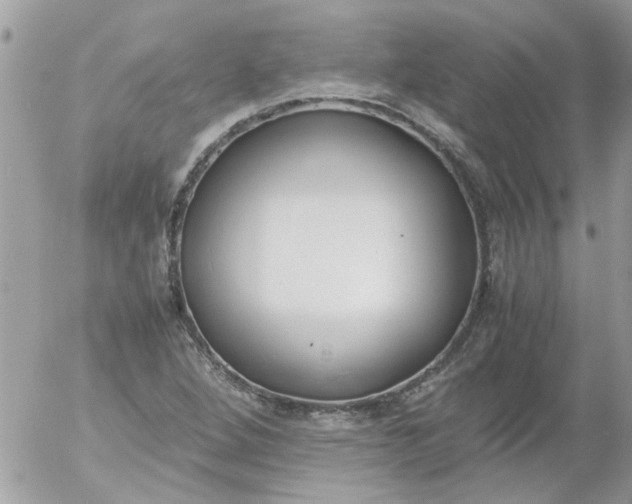 X0000055511264200508262131