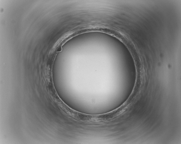 X0000055511265200508262131