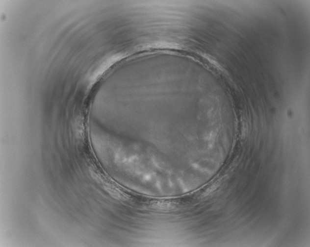 X0000055511266200508262131