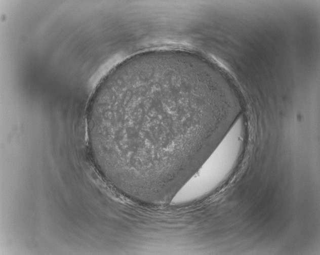 X0000055511267200508262131