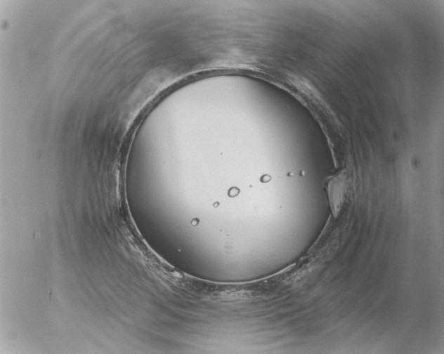 X0000055511268200508262131