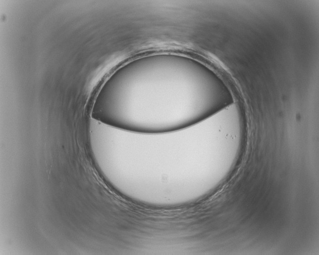 X0000055511269200508262131