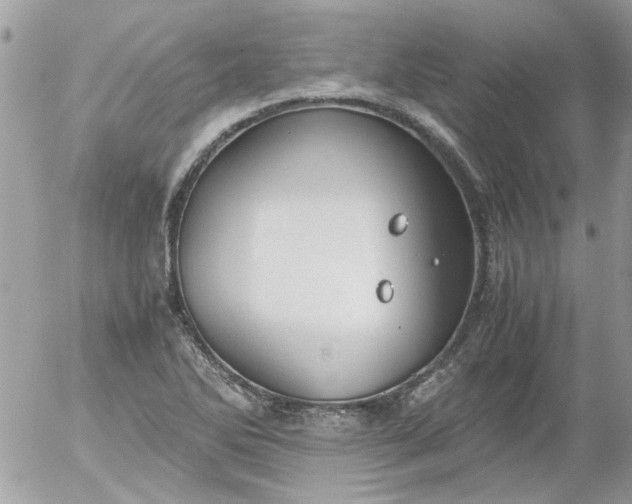 X0000055511270200508262131