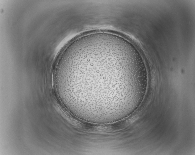 X0000055511271200508262131