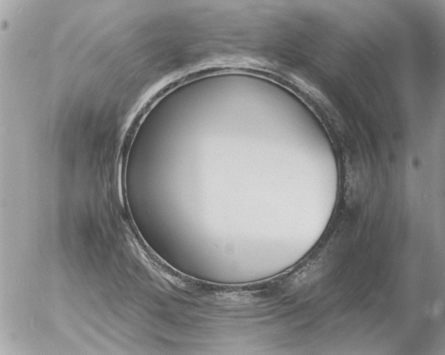 X0000055511272200508262131