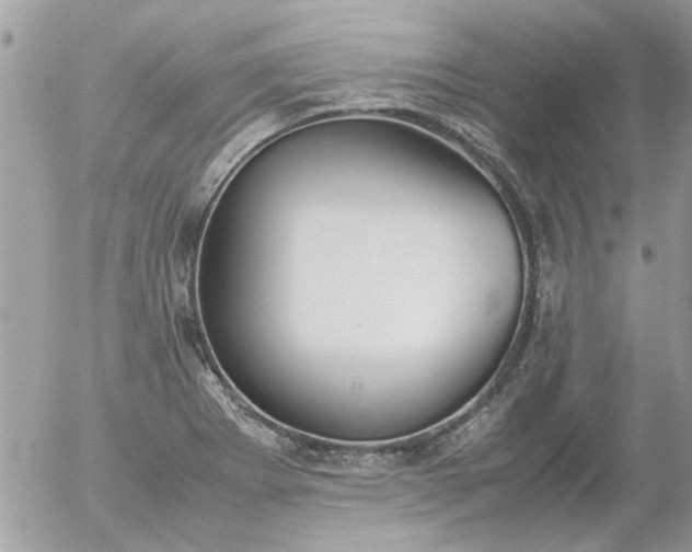 X0000055511273200508262131