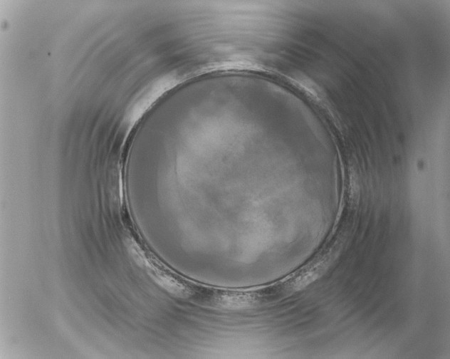 X0000055511274200508262131