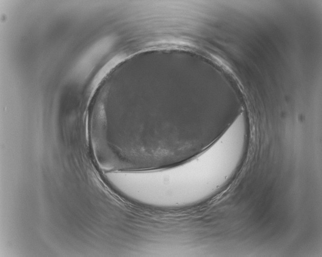 X0000055511275200508262131