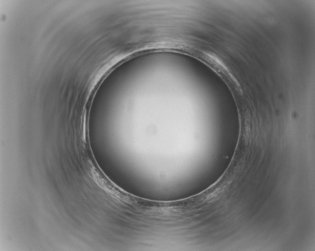 X0000055511276200508262131