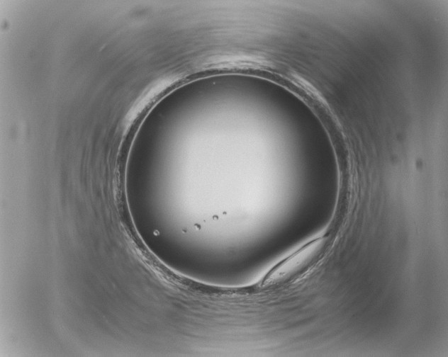 X0000055511277200508262131