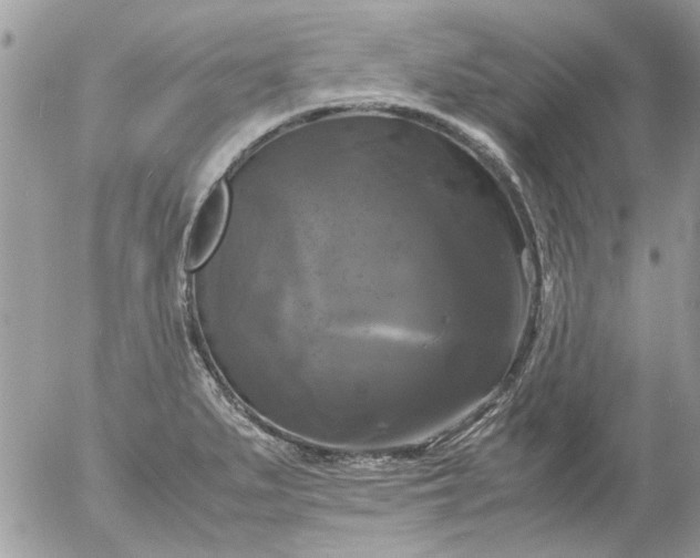 X0000055511279200508262131