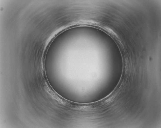 X0000055511280200508262131