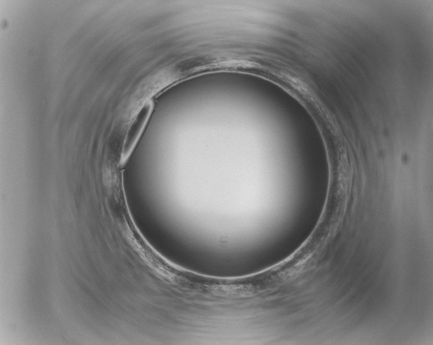 X0000055511281200508262131