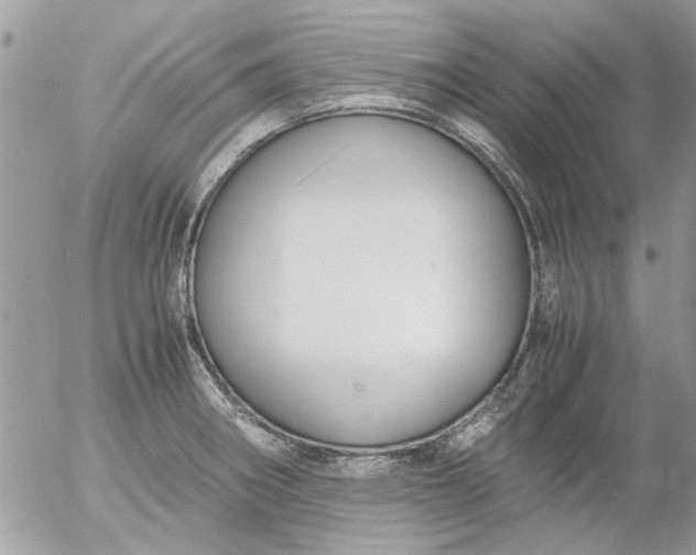 X0000055511282200508262131