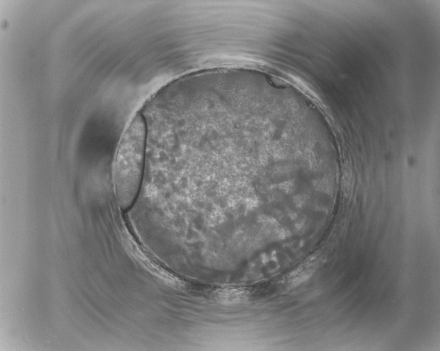 X0000055511283200508262131