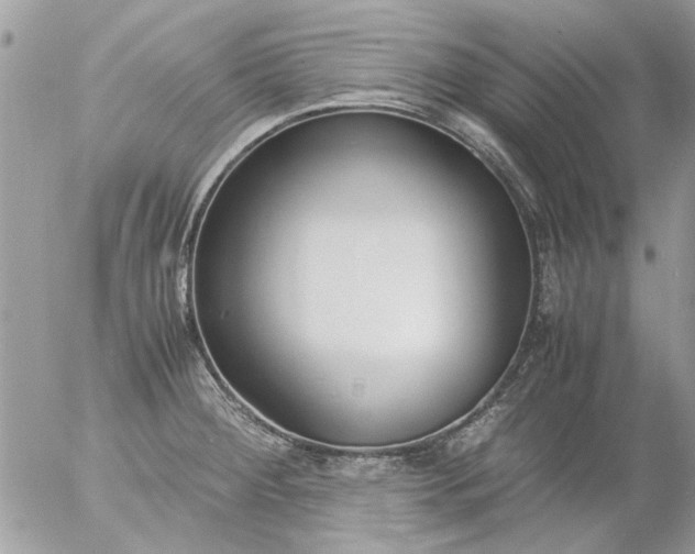 X0000055511284200508262131