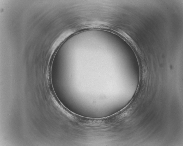 X0000055511285200508262131