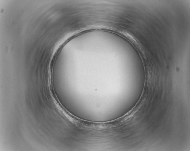 X0000055511286200508262131