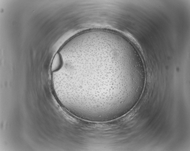 X0000055511287200508262131