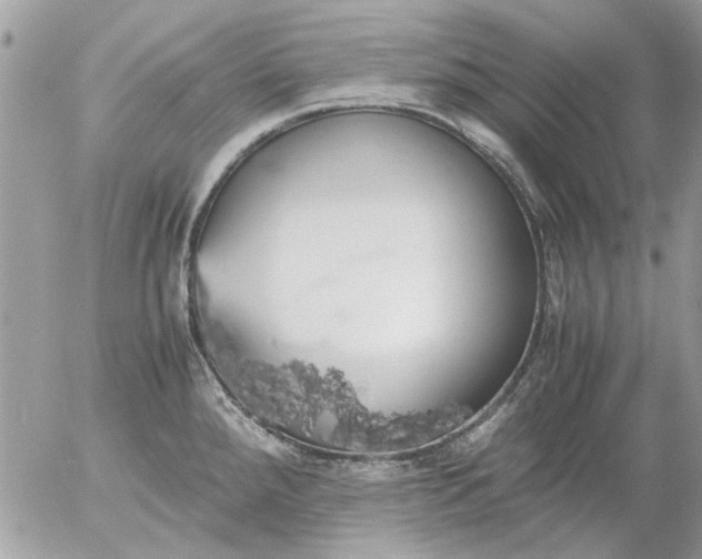 X0000055511288200508262131