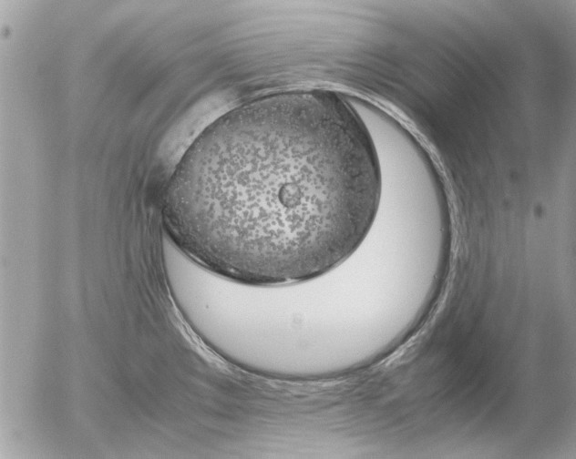 X0000055511289200508262131