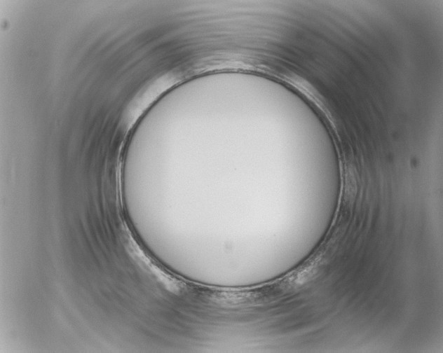 X0000055511290200508262131