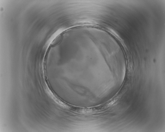 X0000055511291200508262131