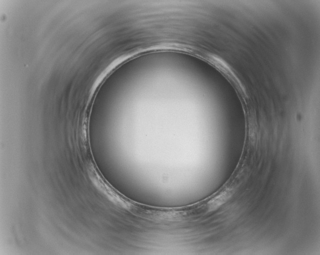 X0000055511292200508262131