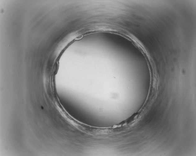 X0000055511293200508262131