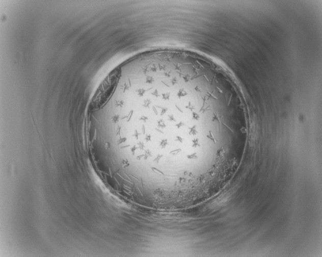 X0000055511295200508262131