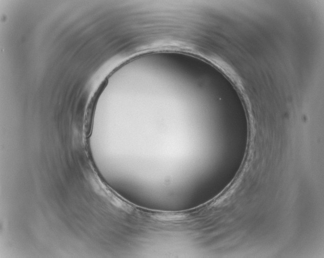 X0000055511296200508262131