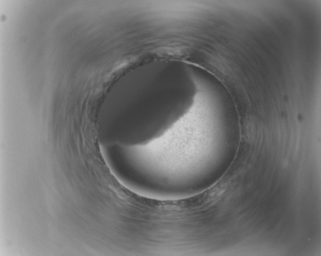 X0000055511297200508262130