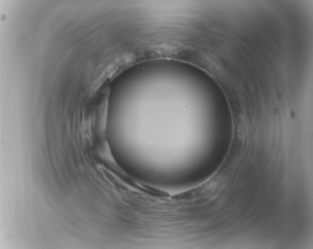 X0000055511298200508262130