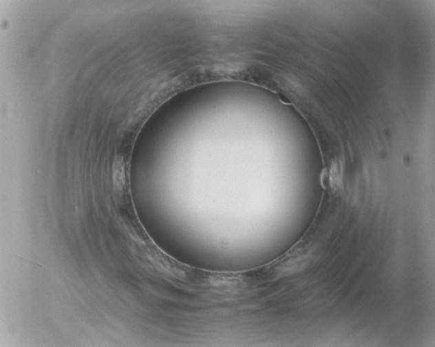 X0000055511299200508262130