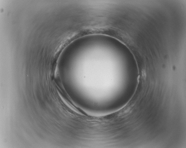 X0000055511300200508262130